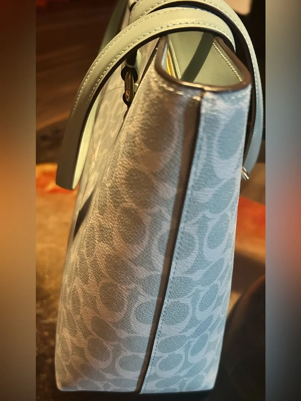 Coach Station Tote